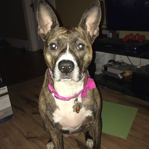 Meet your Posher, Bethany